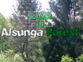 Spiel Return To Alsunga Forest