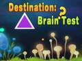 Spiel Destination: Brain Test