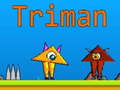 Spiel Triman