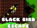 Spiel Black Bird Escape