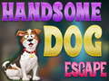 Spiel Handsome Dog Escape