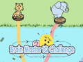 Spiel Brain Master IQ Challenge