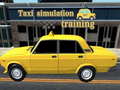 Spiel Taxi simulation training