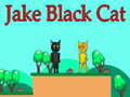 Spiel Jake Black Cat