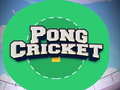 Spiel Pong Cricket