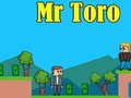 Spiel Mr Toro