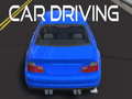 Spiel Car Driving