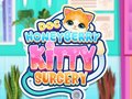Spiel Doc HoneyBerry Kitty Surgery