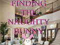 Spiel Finding The Naughty Bunny