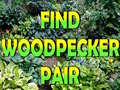 Spiel Find Woodpecker Pair 