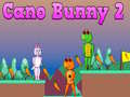 Spiel Cano Bunny 2