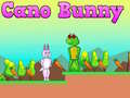 Spiel Cano Bunny