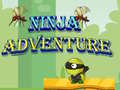 Spiel Ninja Adventure