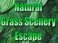 Spiel Natural Grass Scenery Escape