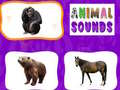 Spiel Animal Sounds