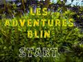 Spiel Les Adventures Blin