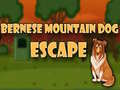 Spiel Bernese Mountain Dog Escape