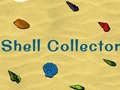 Spiel Shell Collector