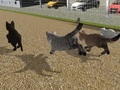 Spiel Run Cat Cat Race