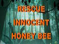 Spiel Rescue Innocent Honey Bee 