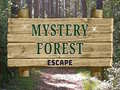Spiel Mystery Forest