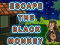 Spiel Escape The Black Monkey
