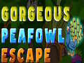 Spiel Gorgeous Peafowl Escape