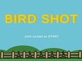 Spiel Bird Shot