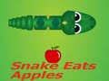 Spiel Snake Eats Apple