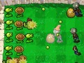 Spiel Plants Vs Zombies DS