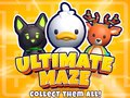 Spiel Ultimate Maze! Collect Them All!