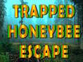 Spiel Trapped Honeybee Escape