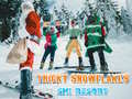 Spiel Ski Resort Hidden Snowflakes