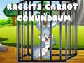 Spiel Rabbits Carrot Conundrum