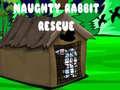 Spiel Naughty Rabbit Rescue