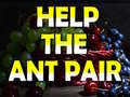 Spiel Help The Ant Pair