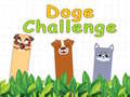 Spiel Doge Challenge