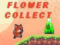 Spiel Flower Collect