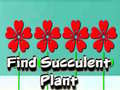 Spiel Find Succulent Plant