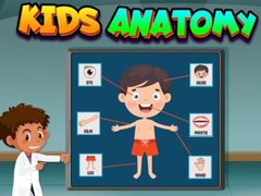 Spiel Kids Anatomy