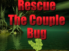 Spiel Rescue The Couple Bug