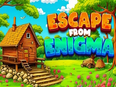 Spiel Escape From Enigma