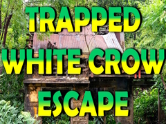 Spiel Trapped White Crow Escape
