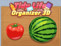 Spiel Tidy Life Organizer 3D