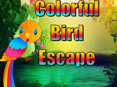 Spiel Colorful Bird Escape