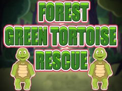 Spiel Forest Green Tortoise Rescue