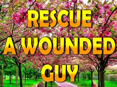 Spiel Rescue A Wounded Guy