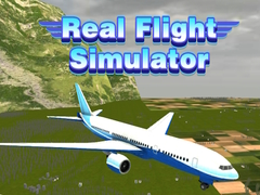 Spiel Real Flight Simulator 