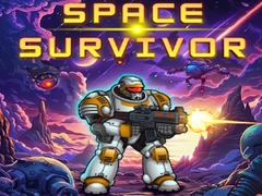 Spiel Space Survivor