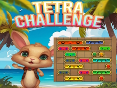 Spiel Tetra Challenge